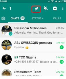 PIN Chats to the Top on whatsapp