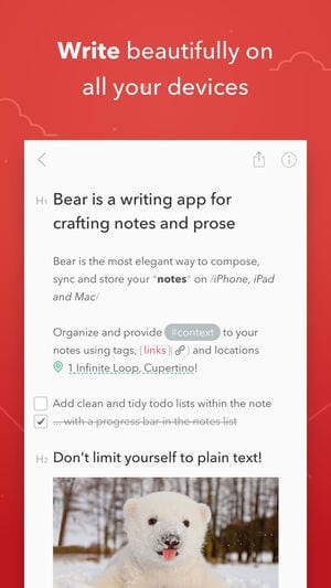 bear for iphone