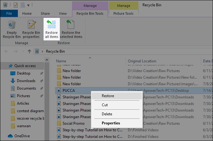 restore deleted files from the recycle bin