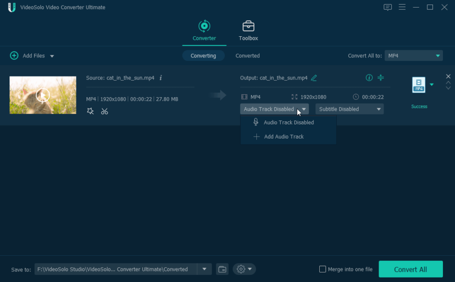 VideoSolo Video Converter Ultimate Review
