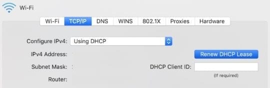 Renew DHCP Lease button