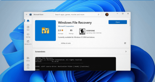 Windows file recovery 
