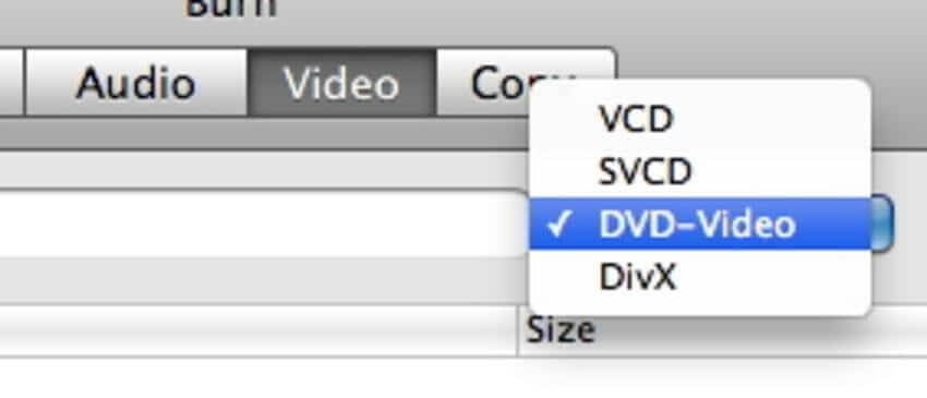 DVD-Video option