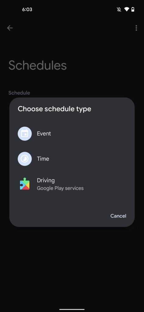 preferred schedule type