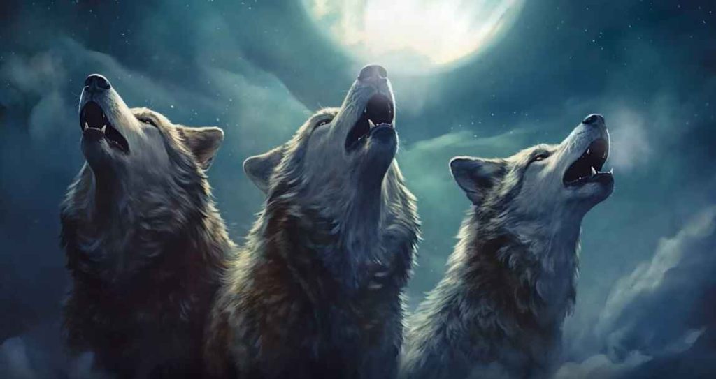 The Pack of Wolves Animated background