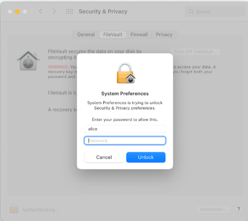Enable FileVault