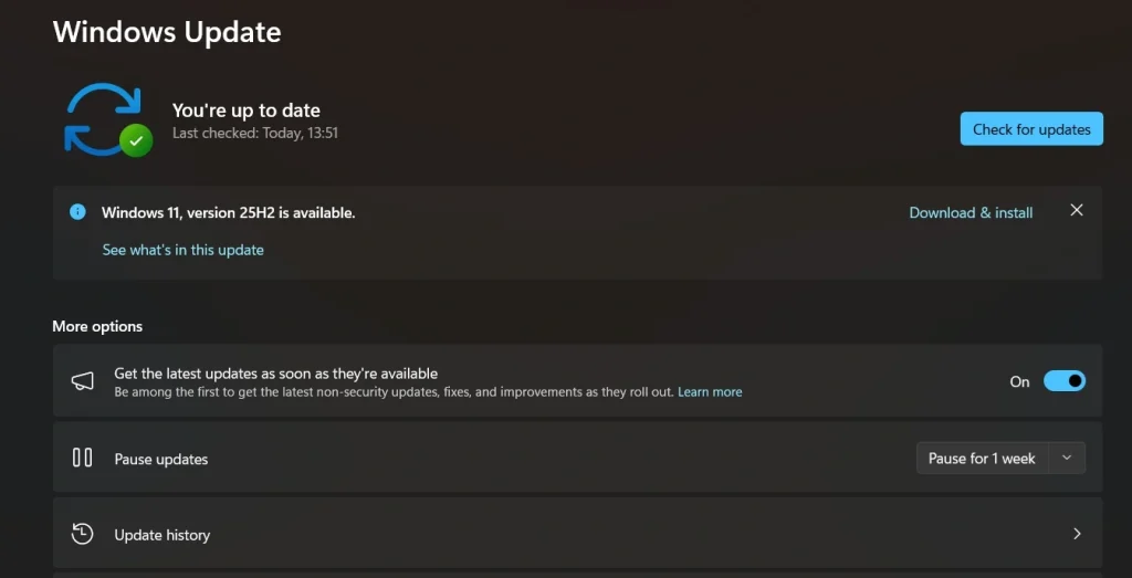 Windows check for updates