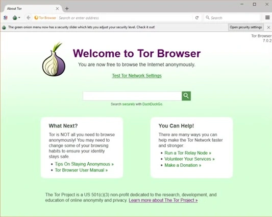 tor vpn browser