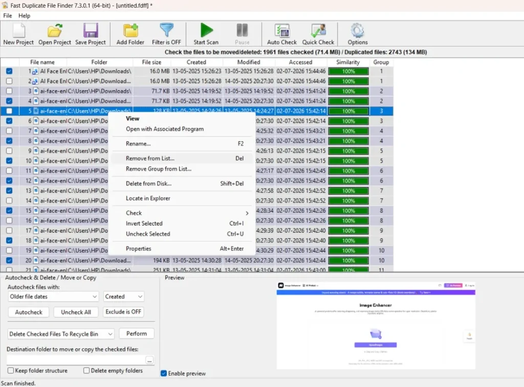 duplicate file finder pro delete files