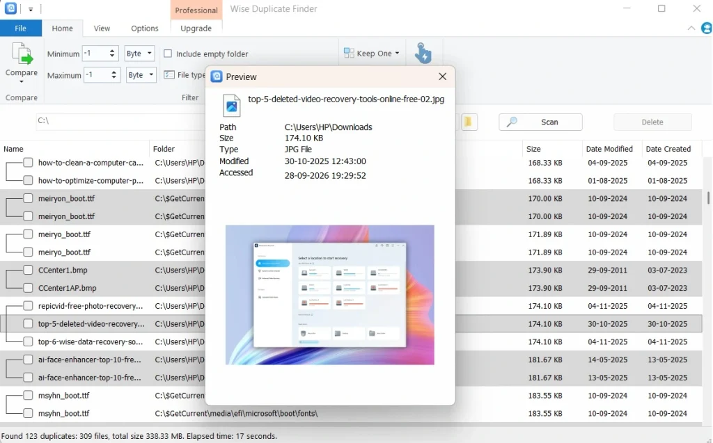 wise duplicate finder preview panel