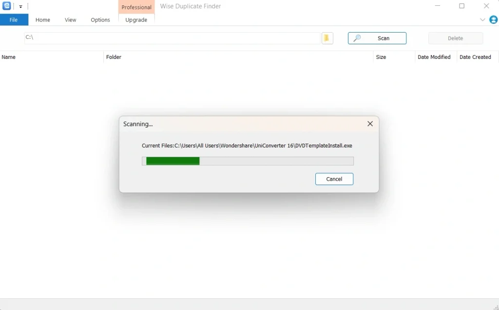 wise duplicate finder scanning process