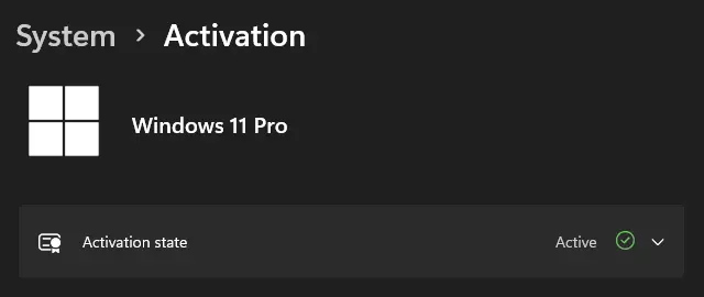 check activation status